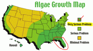 Algae Growth Map